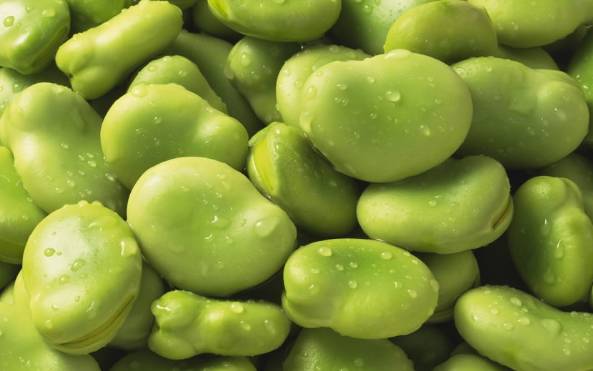 爸妈必修课:1~8岁宝宝禁止吃的食物!无限极产