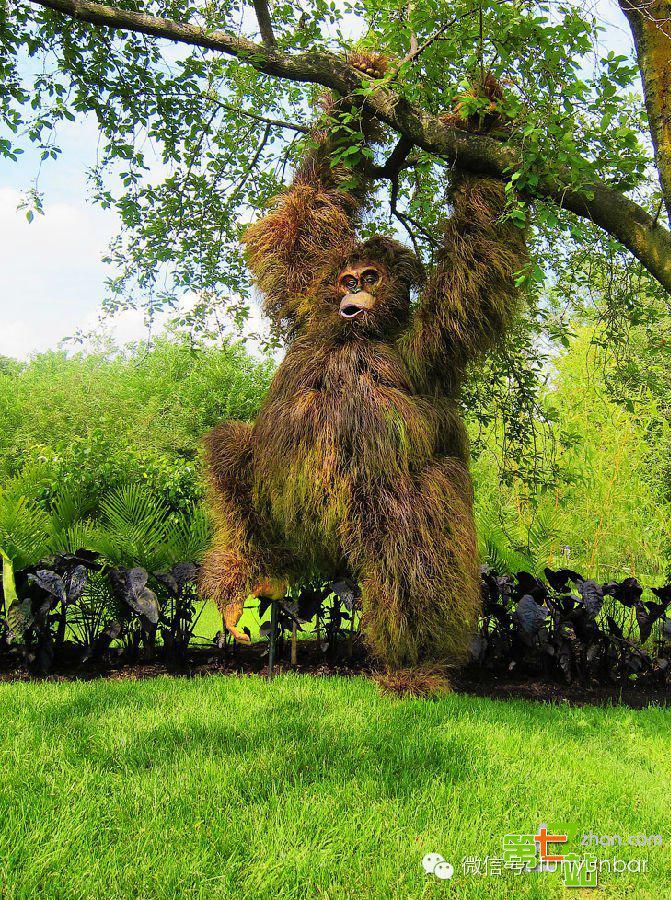 探访:北美最大的植物园壮美景象