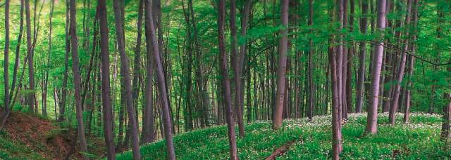 谢玮:前银行职员转型美乐家